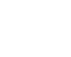 Benjamin Lee Bison 